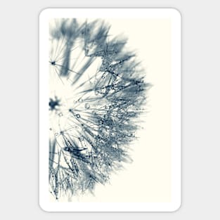 Cyan Dandelion Sticker